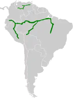 Distribución geográfica del piojito ribereño.