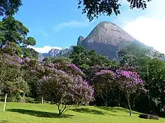 Vista del parque  en Teresópolis, parte d Serra do Mar mountain range