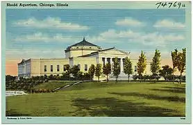 Acuario Shedd, Chicago, Illinois