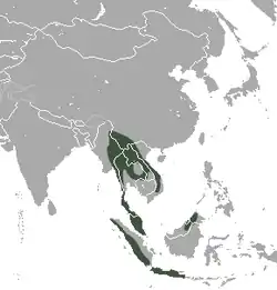 Distribución de Hylomys suillus