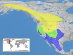 DistribuciónAmarillo = verano solamenteAzul = invierno solamenteVerde = todo el año