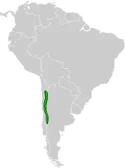 Distribución geográfica del chirigüe grande.