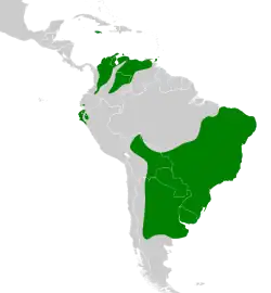 Distribución geográfica del chirigüe azafranado.
