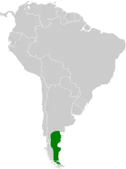 Distribución geográfica del chirigüe austral.