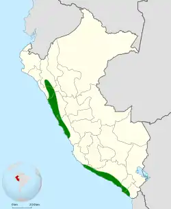 Distribución geográfica del chirigüe de Raimondi.