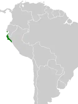 Distribución geográfica del chirigüe de Taczanowski.