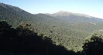 Valle de Valsaín con Siete Picos en el extremo superior izquierdo y Montón de Trigo en el centro.