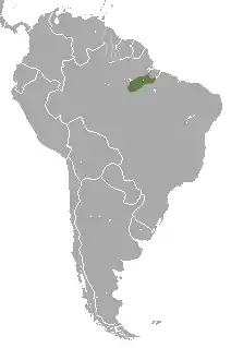 Distribución del tití plateado