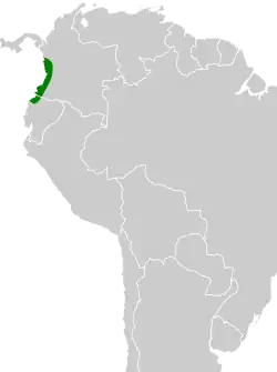 Distribución geográfica del hormiguero colimocho.