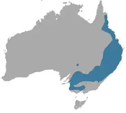 Mapa de distribución de Sminthopsis murina