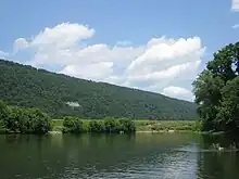 Ladera boscosa vista desde un río