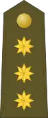 Divisa de coronel