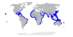 Distribución