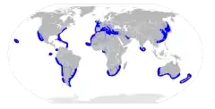 Distribución geográfica