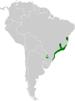 Distribución geográfica del semillero frentiblanco.
