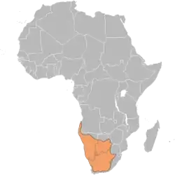 Distribución de la gacela saltarina de El Cabo