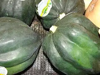 Zapallo turco (o zapallo turco verde), el nombre de la variedad es Cucurbita pepo 'Table Queen'