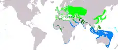 Distribución de Sternula albifrons