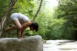 Bakasana,postura del cuervo.