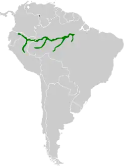 Distribución geográfica del rabicano menor.