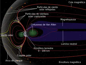 Diagrama que muestra las líneas del campo magnético de la magnetosfera de la Tierra. Las líneas son arrastradas de vuelta en el sentido contrario a las solares bajo la influencia del viento solar.