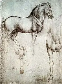 Estudio de caballo, Leonardo da Vinci(ca. 1490).