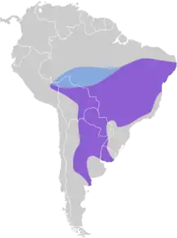 Distribución geográfica del mosquero matorralero sureño.