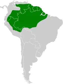 Distribución geográfica del mosquero matorralero amazónico.