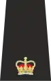 UK Police Superintendant Epaulette