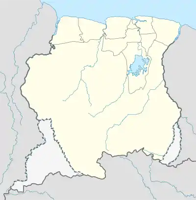 Palmentuin ubicada en Surinam
