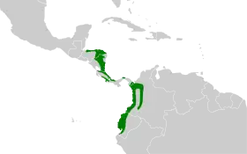Distribución geográfica del pijuí pizarroso.