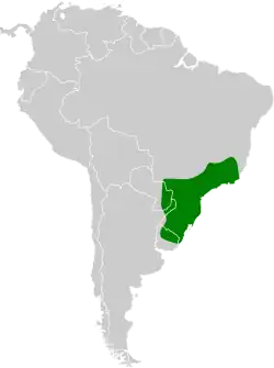 Distribución geográfica del pijuí ceniciento.