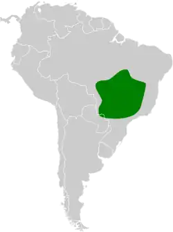 Distribución geográfica del ticotico del Planalto.