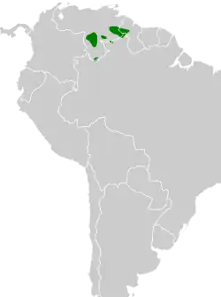 Distribución geográfica del ticotico gorgiblanco.