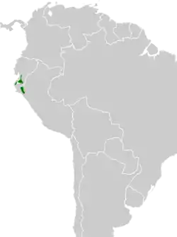 Distribución geográfica del ticotico cuellirrufo.