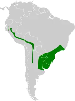 Distribución geográfica del ticotico cejudo.