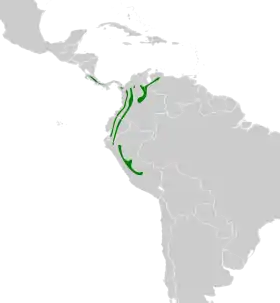 Distribución geográfica del ticotico rayado.