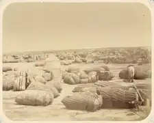 Óblast de Sir Daria, cruce para las caravanas Bujara (misma procedencia).