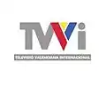 Logotipo de TVVI, predecesora de Canal Nou Internacional, de 2005 a 2008.