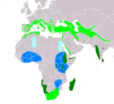 Distribución de Tachymarptis melba