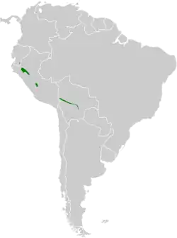 Distribución geográfica de la tangara dorsipajiza.