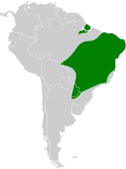 Distribución geográfica de la tangara isabel sureña.