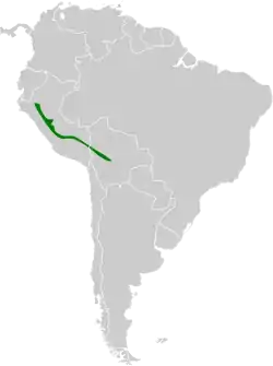 Distribución geográfica de la tangara nuquirrufa.