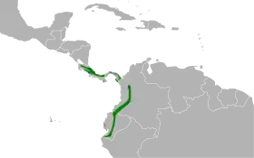 Distribución geográfica de la tangara goliplateada.
