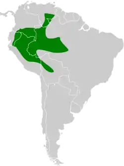 Distribución geográfica de la tangara de Schrank.