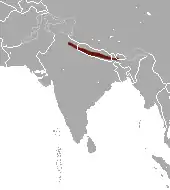 Distribución del langur gris de Tarai