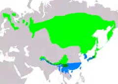 Distribución de Tarsiger cyanurus