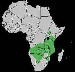 Distribución de T. oryx