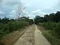 Antigua vía de tren a Yaxnic.