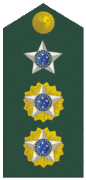 Insignia de teniente coronel del Ejército Brasileño.